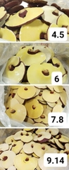 NẤM LINH CHI 500g