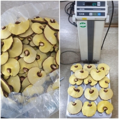 NẤM LINH CHI 500g