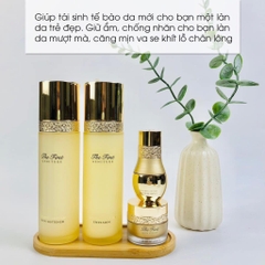 Set ohui the fist tái sinh 3sp