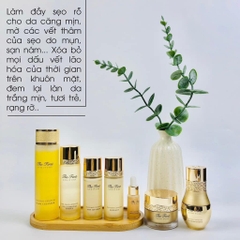 Set ohui the fist tái sinh 3sp