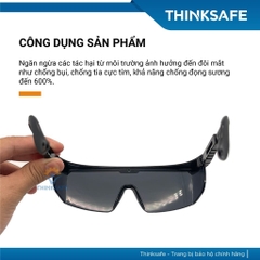 Kính bảo hộ EV105 tròng trong suốt Chống tia UV Chống bụi Chống mờ sương Kính bảo hộ chính hãng - Trang bị toàn diện