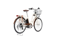 XE ĐIỆN TRỢ LỰC MOMENTUM 2022 LATTE E+