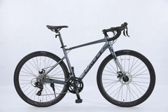 Xe đạp đua road bike Calli Top 2D