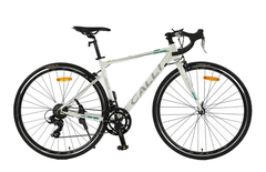 Xe đạp đua road bike Calli R2.5