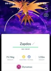 Shiny Dynamax Zapdos with Dark Skies background