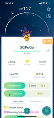 Shiny Pichu Witch hat
