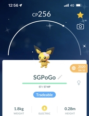 Shiny Pichu with Flower Crown