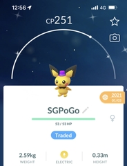 Shiny Pichu New Year 2021