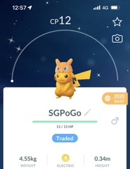 Shiny Pikachu Charizard hat