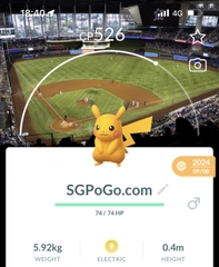 Baseball Pikachu with Miami background