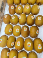 Kiwi vàng New Zealand