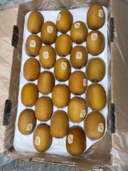 Kiwi vàng New Zealand
