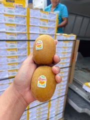 Kiwi vàng New Zealand