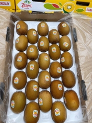 Kiwi vàng New Zealand