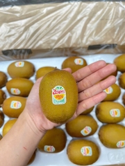 Kiwi vàng New Zealand