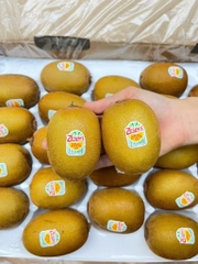 Kiwi vàng New Zealand