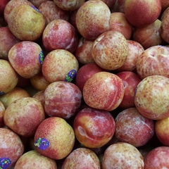 Mận trứng cá sấu