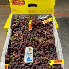 Nho đỏ