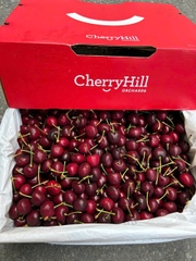 Chery Úc