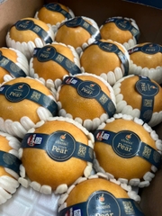 Lê nâu Queen Pears