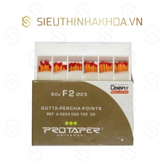 Cone Protaper Dentsply