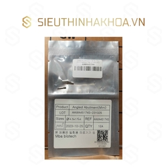Angled Abutment 17 Grade For Mini