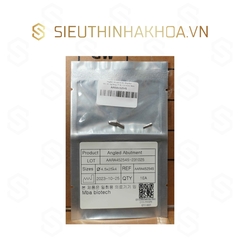 Angled Abutment for Regular