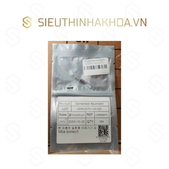 Cemented Abutment Regular