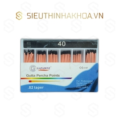 Cone Gutta Chính Không Vạch