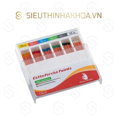 Cone Gutta Sure Endo (Dành Cho Trâm Máy)