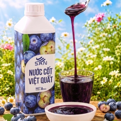 Nước Cốt Việt Quất SAN Chai 1Kg