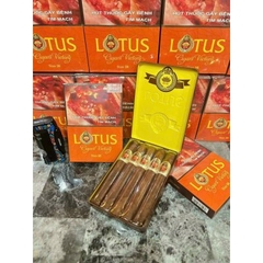 CIGAR LOTUS VICTORY (HỘP 5 ĐIẾU)