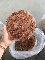 Bánh Tráng Đầu Mực Cà Mau Giòn Rụm, Dai Ngọt, Đậm Đà Khó Cưỡng