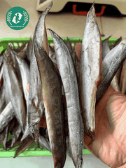 Chạch Đồng Nguyên Con – Đặc Sản Dân Dã, Thịt Ngọt Đậm Và Dễ Chế Biến