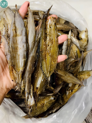 Khô Cá Chạch Đồng Rút Xương