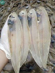 Khô Cá Lưỡi Trâu