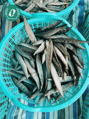 Chạch Đồng Nguyên Con – Đặc Sản Dân Dã, Thịt Ngọt Đậm Và Dễ Chế Biến