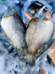 Khô Cá Sặc Bổi