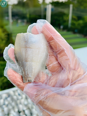 Khô Cá Sặc Đồng