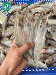 Khô Cá Chèn Bầu 2 Nắng – Đặc Sản Miền Tây Dai Ngọt, Đậm Đà
