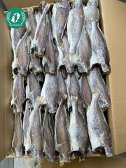 Khô Cá Đù 3 Nắng Dẻo Mềm, Thơm Ngon Đậm Đà Vị Biển