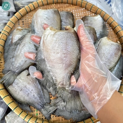 Khô Cá Sặc Bổi