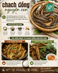 Chạch Đồng Nguyên Con – Đặc Sản Dân Dã, Thịt Ngọt Đậm Và Dễ Chế Biến