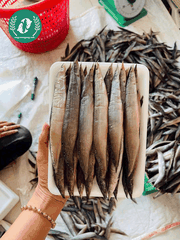 Chạch Đồng Nguyên Con – Đặc Sản Dân Dã, Thịt Ngọt Đậm Và Dễ Chế Biến