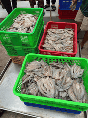 Khô Cá Lóc Nguyên Con Làm Sạch – Đặc Sản Đậm Vị Miền Tây