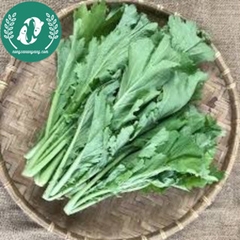 Hạt giống cải mèo Hà Giang