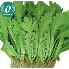 Hạt giống cải cúc (tần ô)