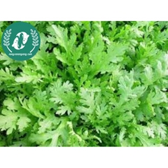 Hạt giống cải cúc (tần ô)