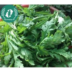 Hạt giống cải cúc (tần ô)