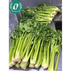 Hạt giống rau cần tây